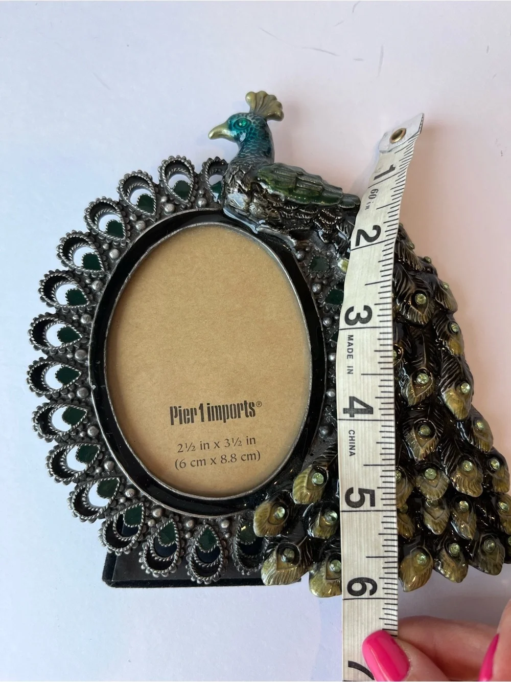 Pier 1 Imports Peacock Enameled Picture Frame
